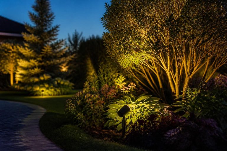 Landscape Lighting